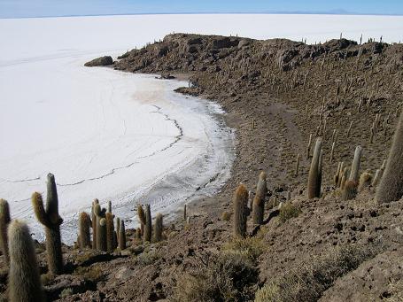 L'ile du p�cheur sur le lac sal� d'Uyuni (Bolivie)